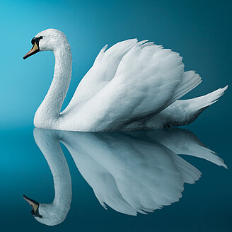 © dimabl / iStock.com