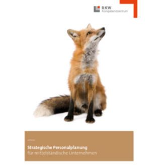 Leitfaden Strategische Personalarbeit Leitfaden Strategische Personalarbeit